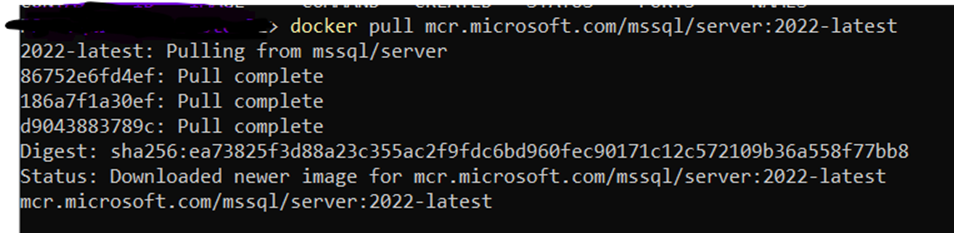 How to Use a Containerized SQL Database Server Locally using Docker